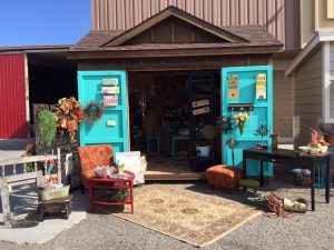 Dream Sheds